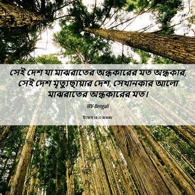Picture 06 - ইয়োব 10:22 BENIRV - সেই দেশ যা - Bible Verse Picture