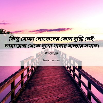 Picture 06 - ইয়োব 11:12 BENIRV - কিন্তু বোকা - Bible Verse Picture
