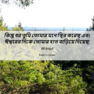 Picture 06 - ইয়োব 11:13 BENIRV - কিন্তু ধর তুমি - Bible Verse Picture