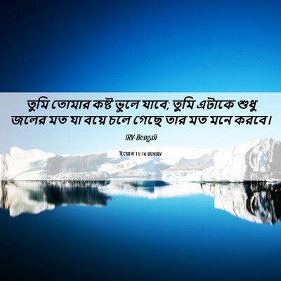 Picture 06 - ইয়োব 11:16 BENIRV - তুমি তোমার কষ্ট - Bible Verse Picture