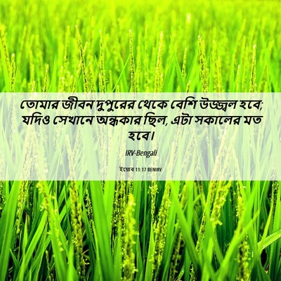 Picture 06 - ইয়োব 11:17 BENIRV - তোমার জীবন - Bible Verse Picture