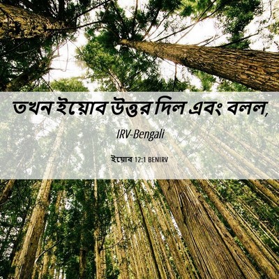 Picture 06 - ইয়োব 12:1 BENIRV - তখন ইয়োব উত্তর - Bible Verse Picture