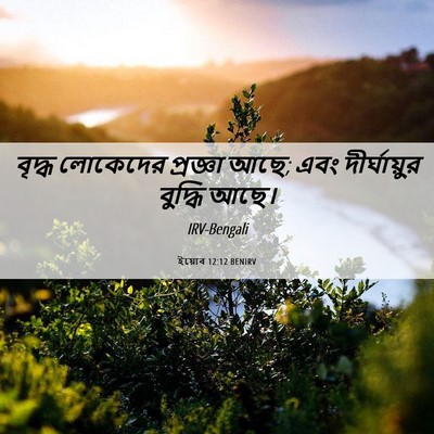 Picture 06 - ইয়োব 12:12 BENIRV - বৃদ্ধ লোকেদের - Bible Verse Picture