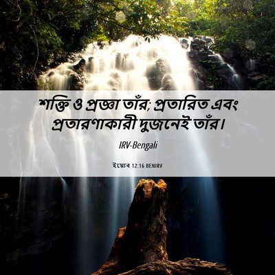 Picture 06 - ইয়োব 12:16 BENIRV - শক্তি ও প্রজ্ঞা - Bible Verse Picture