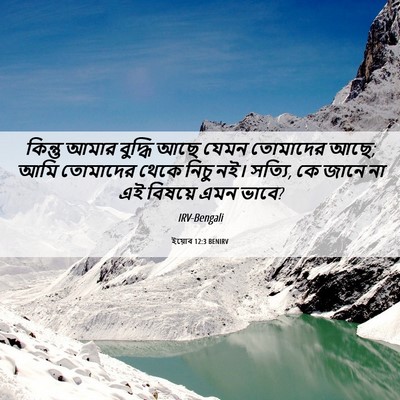 Picture 06 - ইয়োব 12:3 BENIRV - কিন্তু আমার - Bible Verse Picture