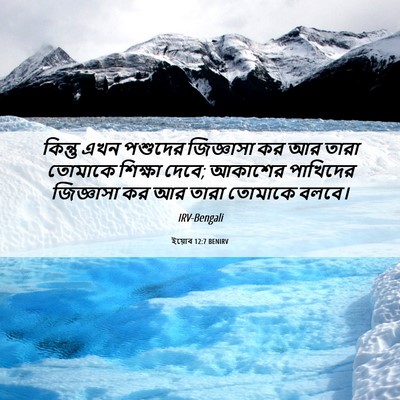 Picture 06 - ইয়োব 12:7 BENIRV - কিন্তু এখন পশুদের - Bible Verse Picture