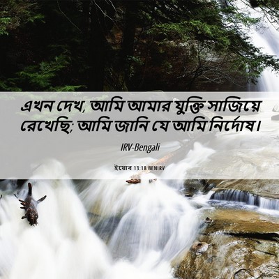 Picture 06 - ইয়োব 13:18 BENIRV - এখন দেখ, আমি আমার - Bible Verse Picture