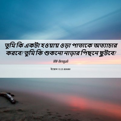 Picture 06 - ইয়োব 13:25 BENIRV - তুমি কি একটা - Bible Verse Picture