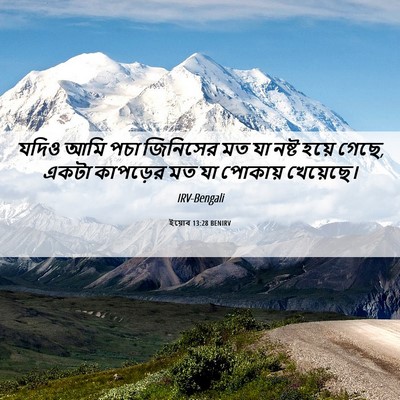 Picture 06 - ইয়োব 13:28 BENIRV - যদিও আমি পচা - Bible Verse Picture