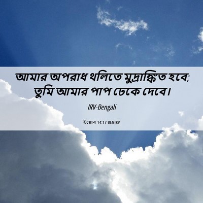 Picture 06 - ইয়োব 14:17 BENIRV - আমার অপরাধ থলিতে - Bible Verse Picture