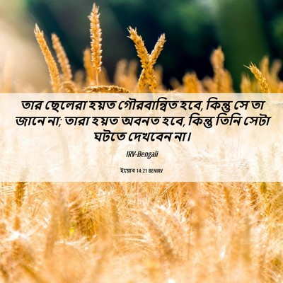 Picture 06 - ইয়োব 14:21 BENIRV - তার ছেলেরা হয়ত - Bible Verse Picture