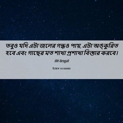 Picture 06 - ইয়োব 14:9 BENIRV - তবুও যদি এটা জলের - Bible Verse Picture