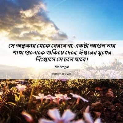 Picture 06 - ইয়োব 15:30 BENIRV - সে অন্ধকার থেকে - Bible Verse Picture