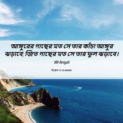 Picture 06 - ইয়োব 15:33 BENIRV - আঙ্গুরের গাছের মত - Bible Verse Picture