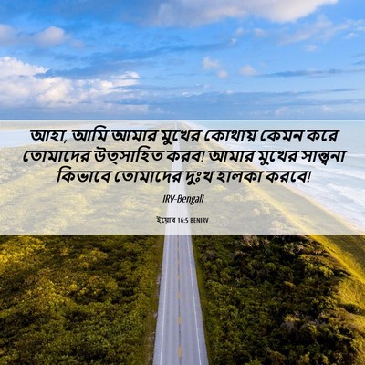 Picture 06 - ইয়োব 16:5 BENIRV - আহা, আমি আমার মুখের - Bible Verse Picture
