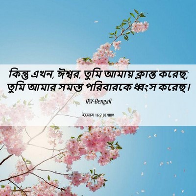 Picture 06 - ইয়োব 16:7 BENIRV - কিন্তু এখন, ঈশ্বর, - Bible Verse Picture