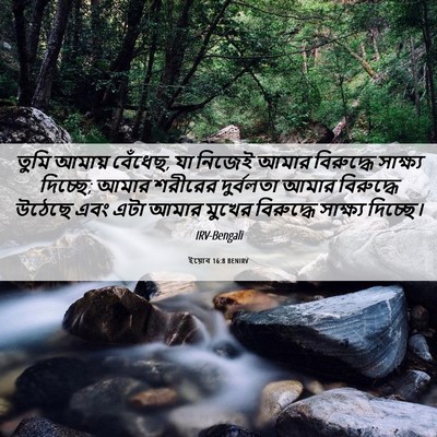 Picture 06 - ইয়োব 16:8 BENIRV - তুমি আমায় বেঁধেছ, - Bible Verse Picture