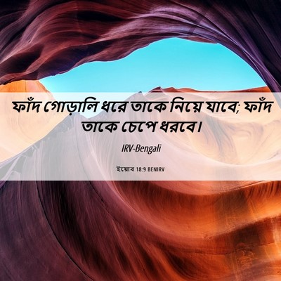 Picture 06 - ইয়োব 18:9 BENIRV - ফাঁদ গোড়ালি ধরে - Bible Verse Picture