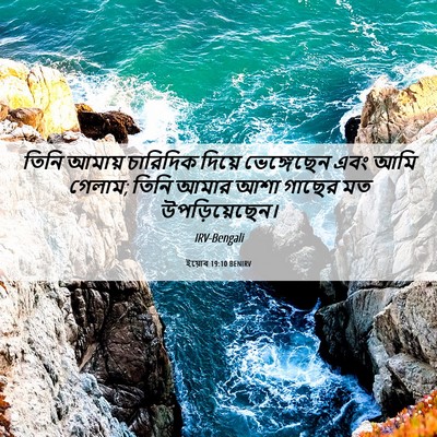 Picture 06 - ইয়োব 19:10 BENIRV - তিনি আমায় - Bible Verse Picture