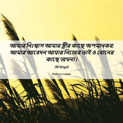 Picture 06 - ইয়োব 19:17 BENIRV - আমার নিঃশ্বাস - Bible Verse Picture