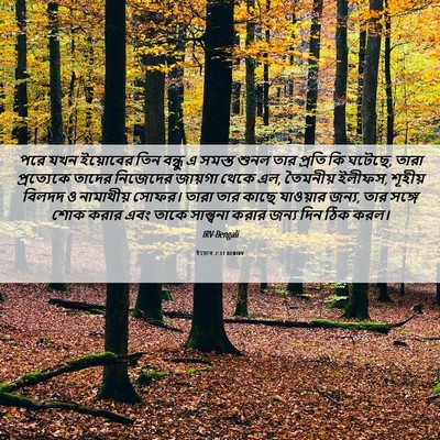 Picture 06 - ইয়োব 2:11 BENIRV - পরে যখন ইয়োবের - Bible Verse Picture