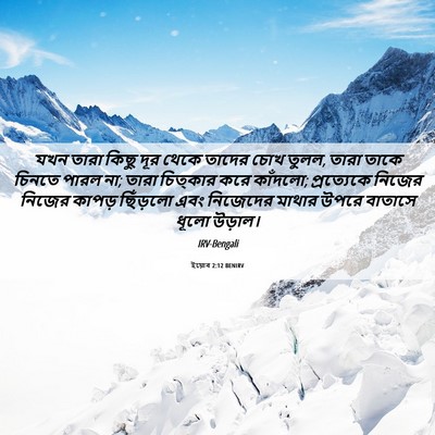 Picture 06 - ইয়োব 2:12 BENIRV - যখন তারা কিছু দূর - Bible Verse Picture