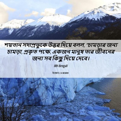 Picture 06 - ইয়োব 2:4 BENIRV - শয়তান সদাপ্রভুকে - Bible Verse Picture