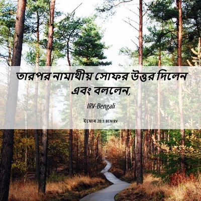 Picture 06 - ইয়োব 20:1 BENIRV - তারপর নামাথীয় - Bible Verse Picture