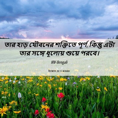 Picture 06 - ইয়োব 20:11 BENIRV - তার হাড় যৌবনের - Bible Verse Picture