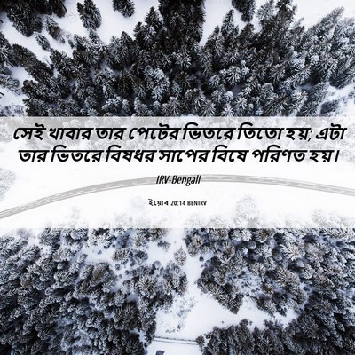 Picture 06 - ইয়োব 20:14 BENIRV - সেই খাবার তার - Bible Verse Picture