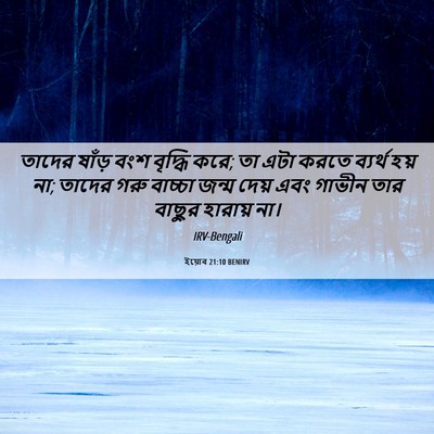 Picture 06 - ইয়োব 21:10 BENIRV - তাদের ষাঁড় বংশ - Bible Verse Picture
