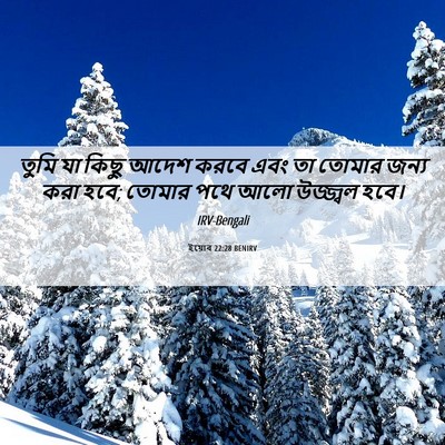Picture 06 - ইয়োব 22:28 BENIRV - তুমি যা কিছু আদেশ - Bible Verse Picture