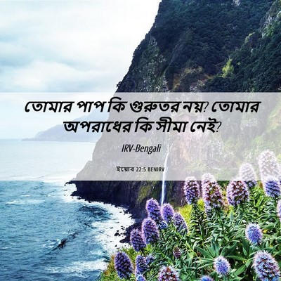 Picture 06 - ইয়োব 22:5 BENIRV - তোমার পাপ কি - Bible Verse Picture
