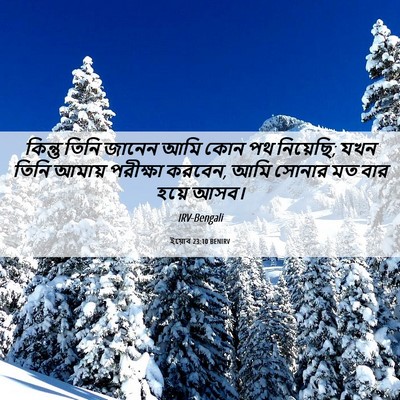 Picture 06 - ইয়োব 23:10 BENIRV - কিন্তু তিনি জানেন - Bible Verse Picture