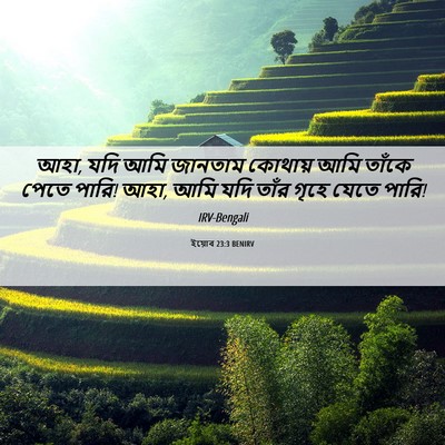 Picture 06 - ইয়োব 23:3 BENIRV - আহা, যদি আমি জানতাম - Bible Verse Picture