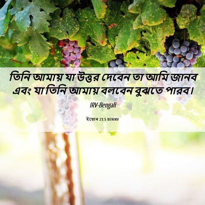 Picture 06 - ইয়োব 23:5 BENIRV - তিনি আমায় যা - Bible Verse Picture