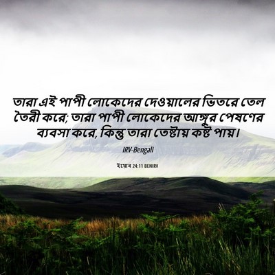 Picture 06 - ইয়োব 24:11 BENIRV - তারা এই পাপী - Bible Verse Picture
