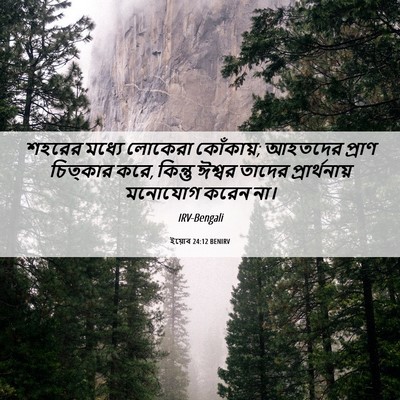 Picture 06 - ইয়োব 24:12 BENIRV - শহরের মধ্যে - Bible Verse Picture