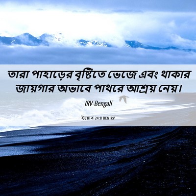 Picture 06 - ইয়োব 24:8 BENIRV - তারা পাহাড়ের - Bible Verse Picture