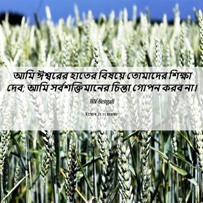 Picture 06 - ইয়োব 27:11 BENIRV - আমি ঈশ্বরের হাতের - Bible Verse Picture