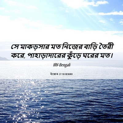 Picture 06 - ইয়োব 27:18 BENIRV - সে মাকড়সার মত - Bible Verse Picture