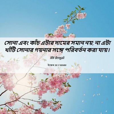 Picture 06 - ইয়োব 28:17 BENIRV - সোনা এবং কাঁচ এটার - Bible Verse Picture