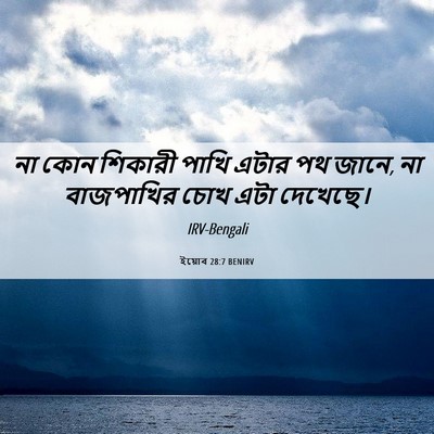 Picture 06 - ইয়োব 28:7 BENIRV - না কোন শিকারী পাখি - Bible Verse Picture