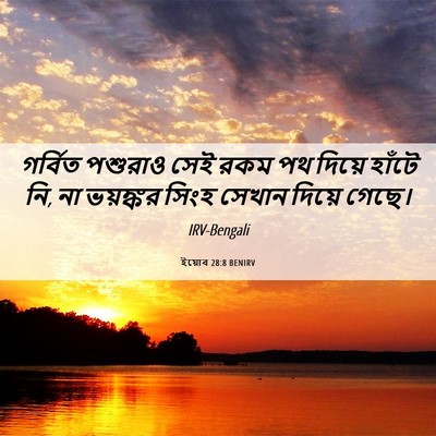 Picture 06 - ইয়োব 28:8 BENIRV - গর্বিত পশুরাও সেই - Bible Verse Picture