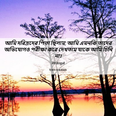 Picture 06 - ইয়োব 29:16 BENIRV - আমি দরিদ্রদের - Bible Verse Picture