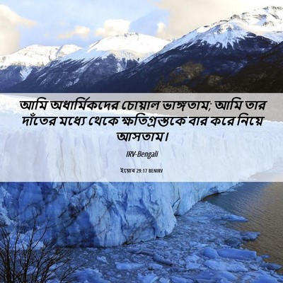 Picture 06 - ইয়োব 29:17 BENIRV - আমি অধার্মিকদের - Bible Verse Picture