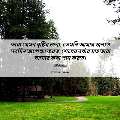 Picture 06 - ইয়োব 29:23 BENIRV - তারা যেমন বৃষ্টির - Bible Verse Picture