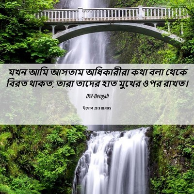 Picture 06 - ইয়োব 29:9 BENIRV - যখন আমি আসতাম - Bible Verse Picture