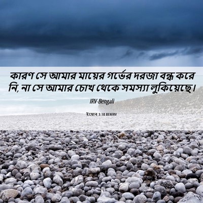 Picture 06 - ইয়োব 3:10 BENIRV - কারণ সে আমার - Bible Verse Picture