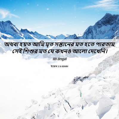 Picture 06 - ইয়োব 3:16 BENIRV - অথবা হয়ত আমি মৃত - Bible Verse Picture